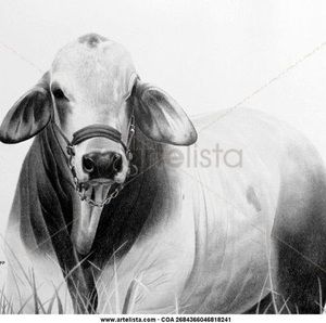 Meet your Posher, Jose pablo